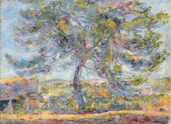 Paysage Du Midi, Le Grand Arbre Au Soleil Oil Painting by Joseph Ravaisou