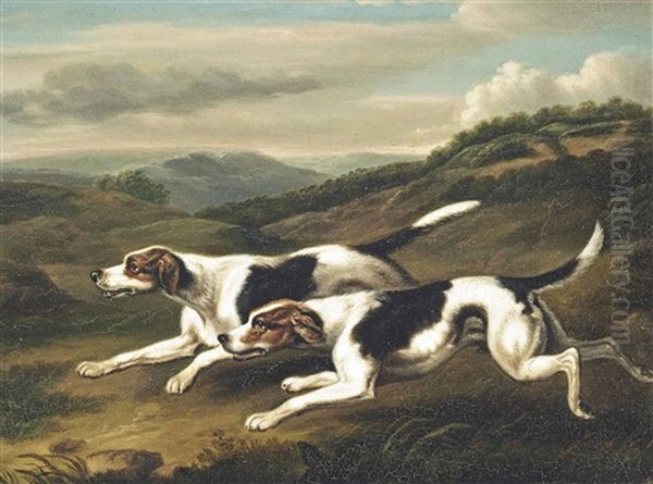 Foxhounds (after Philip Reinagle) Oil Painting by Samuel Raven