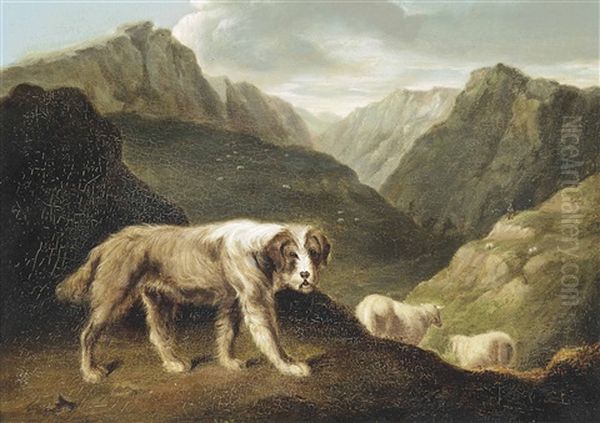 Sheepdog Oil Painting by Samuel Raven