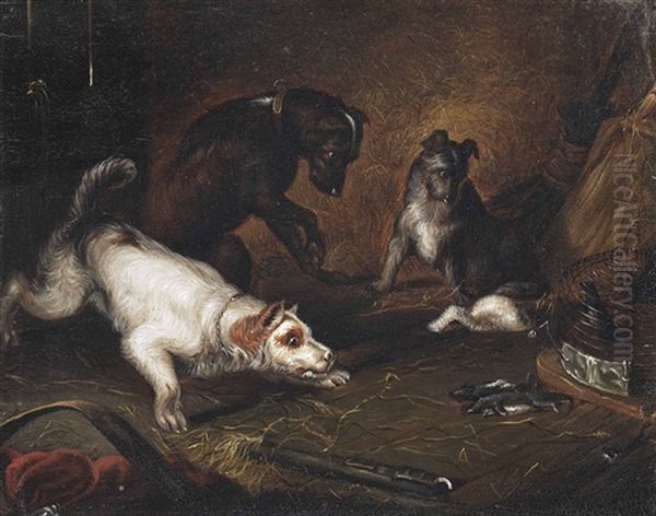 The Rat Catchers Oil Painting by Samuel Raven