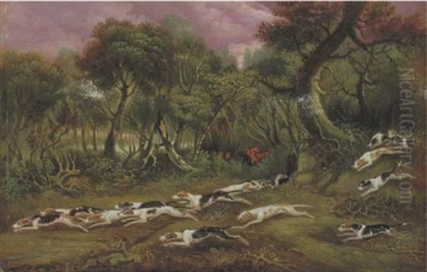 Hounds Of The Belvoir Running Through A Wood Oil Painting by Samuel Raven