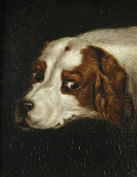 A Tabby Cat (+ A Spaniel; Pair) Oil Painting by Samuel Raven