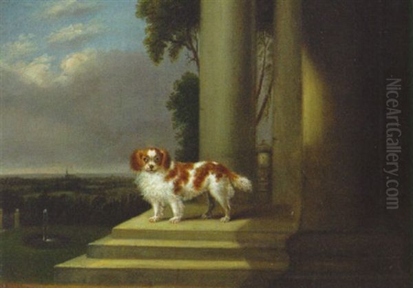 A Toy Spaniel On A Terrace Of A Country House Oil Painting by Samuel Raven