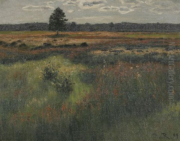 Moorlandschaft Bei Villingen Oil Painting by Paul von Ravenstein