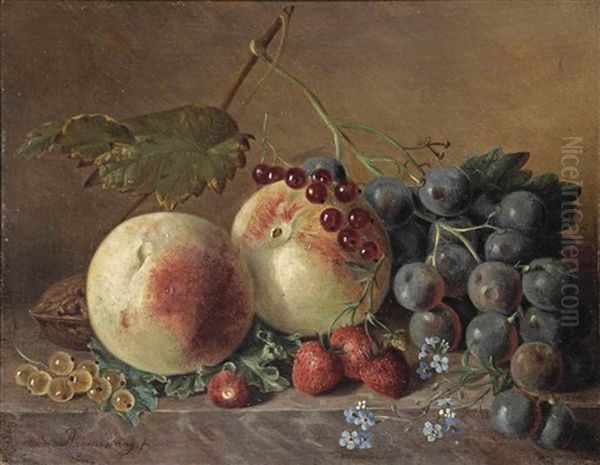 Peaches, Grapes, Wild Strawberries, Red And White Currants, Forget-me-nots And A Walnut On A Marble Ledge Oil Painting by Adriana Van Ravenswaay