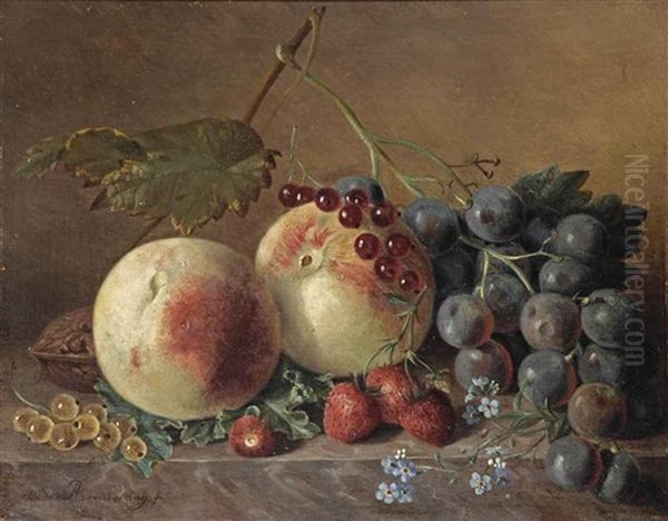 Peaches, Grapes, Wild Strawberries, Red And White Currants, Forget-me-nots And A Walnut On A Marble Ledge Oil Painting by Adriana Van Ravenswaay