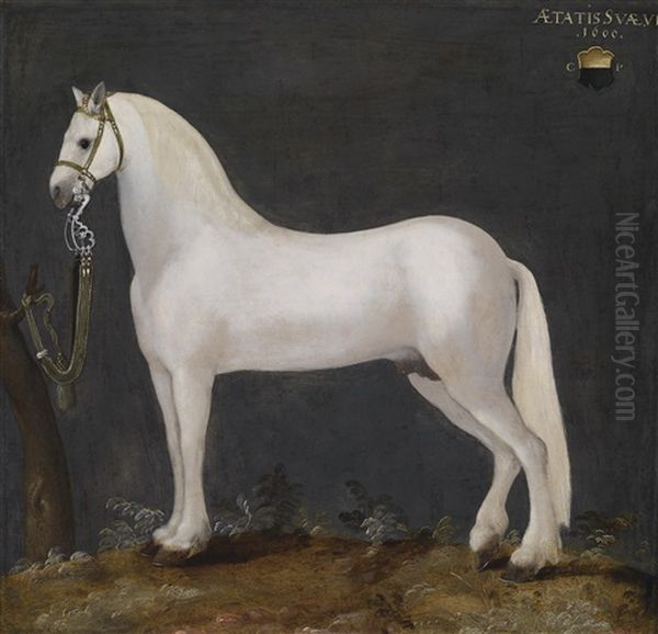 Ein Spanischer Karster (lipizzaner) Oil Painting by Dirk de Quade van Ravesteyn