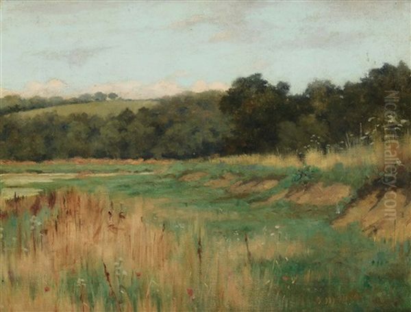 Orizzonti Lontani Oil Painting by Ernesto Rayper