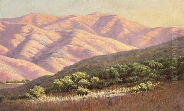 Sun's Last Rays, Marin County, California by Louis Edward Rea