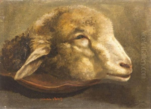 Lamb Head Oil Painting by Rosa Bonheur