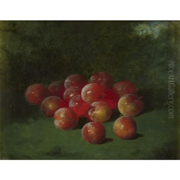 Still Life With Apples Oil Painting by Carducius Plantagenet Ream