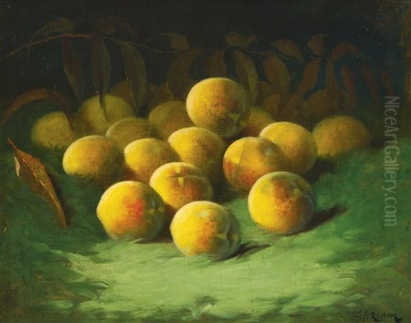 Peaches Oil Painting by Carducius Plantagenet Ream