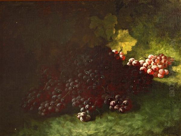 Red Grapes Oil Painting by Carducius Plantagenet Ream