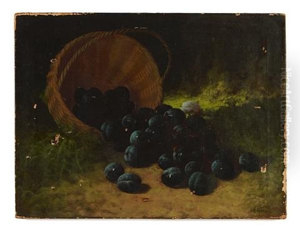 A Still Life With Plums by Carducius Plantagenet Ream