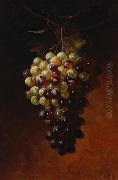 Bunches Of Green And Purple Grapes Hanging On A Vine (pair) Oil Painting by Carducius Plantagenet Ream