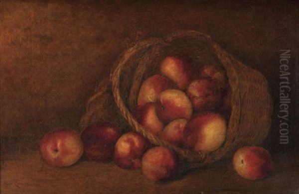 Still Life With Peaches Oil Painting by Carducius Plantagenet Ream