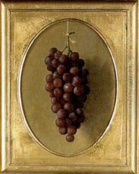 Still-life Of Grapes Oil Painting by Carducius Plantagenet Ream