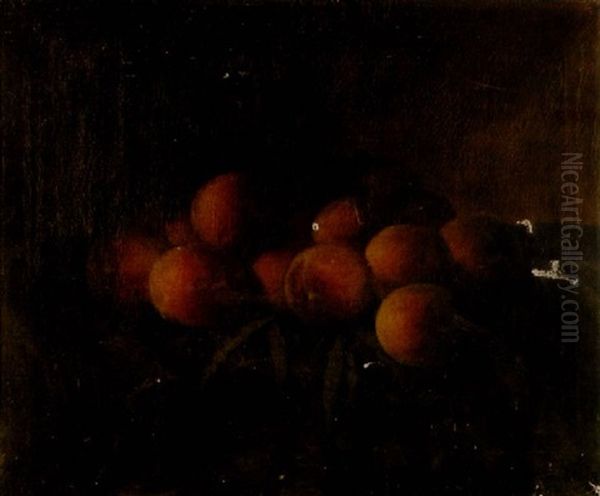 A Still Life With Peaches Oil Painting by Carducius Plantagenet Ream