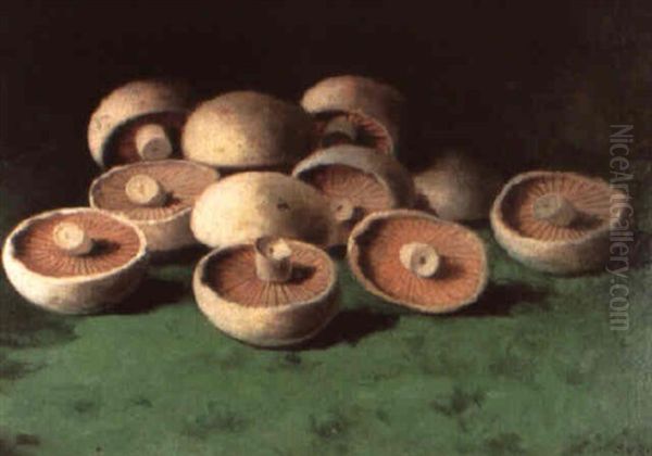 Mushrooms Oil Painting by Carducius Plantagenet Ream