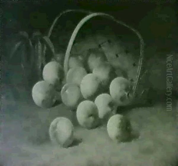 Still Life Of Peaches Spilling                              From A Basket Oil Painting by Carducius Plantagenet Ream