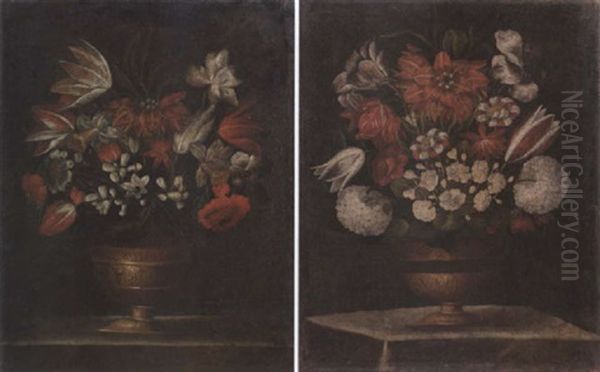 Tulips, Daffodils, Narcissi And Other Flowers In A Gilt Vase On A Ledge Oil Painting by Giacomo Recco