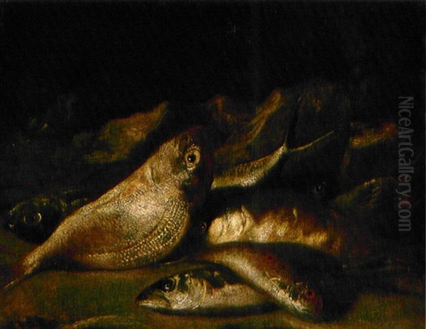 Bodegon De Peces Oil Painting by Giovanni Battista Recco