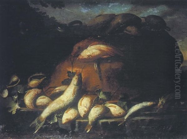 Nature Morte Aux Poissons Avec Une Tortue Oil Painting by Giuseppe Recco