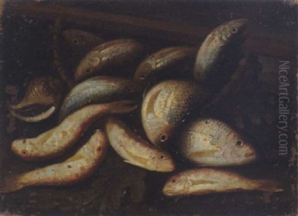 Pesci Oil Painting by Giuseppe Recco