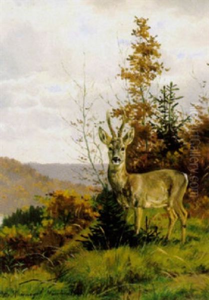 Rehbock In Landschaft by Otto Recknagel