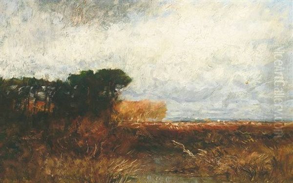 Besonnte Herbstliche Landschaft Um Dachau Oil Painting by Franz Reder-Broili