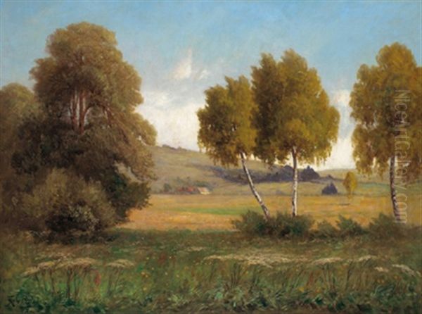 Aulandschaft Mit Birken Oil Painting by Franz Reder-Broili