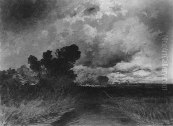 Dachauer Moos Bei Aufziehendem Gewitter Oil Painting by Franz Reder-Broili