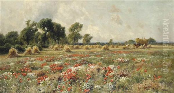 Poppies In Bloom Oil Painting by Arthur William Redgate