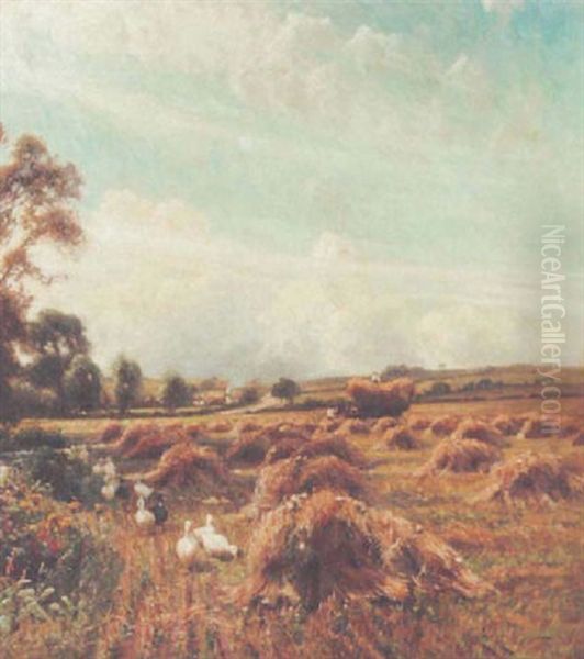 Ducks In A Harvest Field Oil Painting by Arthur William Redgate