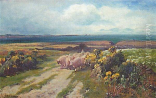 Coastal Landscape With Sheep Oil Painting by Arthur William Redgate