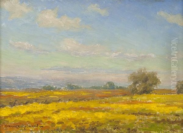 Sunny Day Over Poppy-filled Landscape Oil Painting by Granville S. Redmond