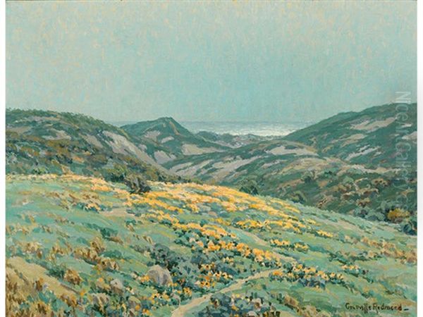 Poppies Along The Coast Oil Painting by Granville S. Redmond