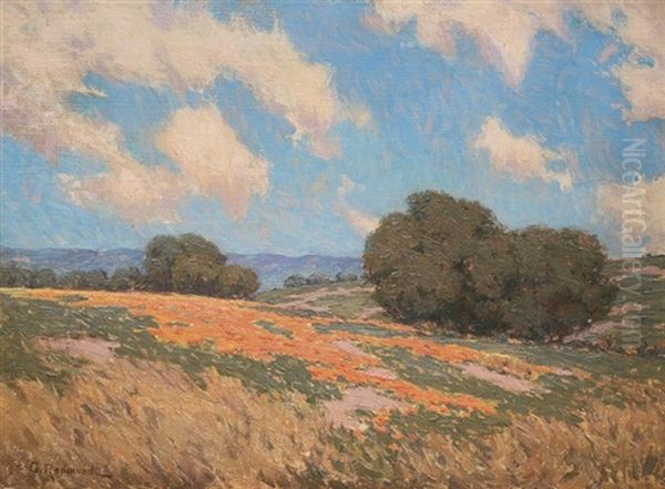 California Poppies Oil Painting by Granville S. Redmond