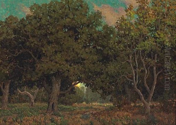 Sunset Through The Trees Oil Painting by Granville S. Redmond