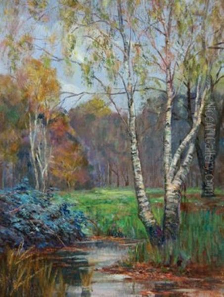 Near North Rode, Cheshire, Silver Birch Trees By A Stream Through A Glade Oil Painting by William Maxwell Reekie