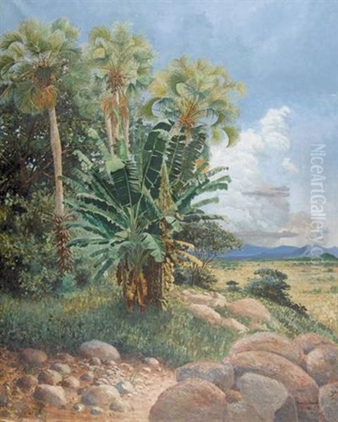 Afrikanische Landschaft Oil Painting by Paul Reichard