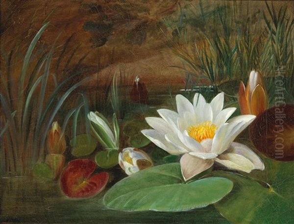 Water Lilies Oil Painting by Augusta Wilhelmine Reichelt