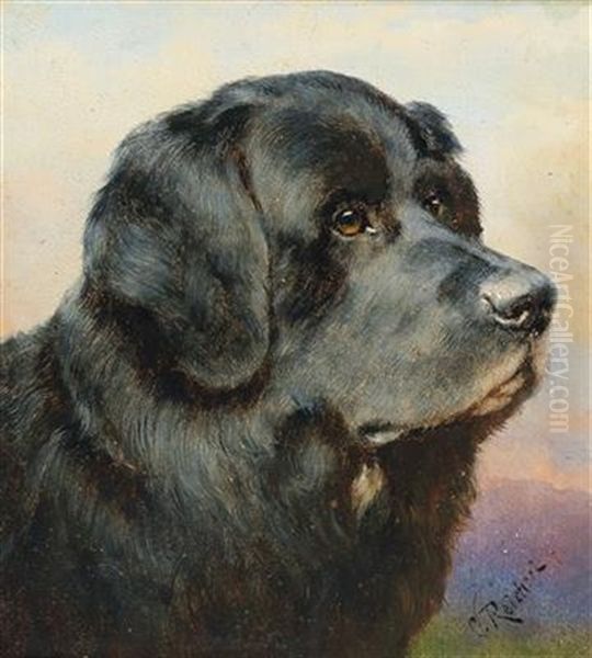 A Newfoundland Dog Oil Painting by Carl Reichert