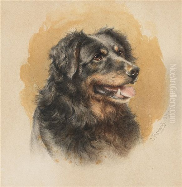 A Portrait Of A Dog Oil Painting by Carl Reichert