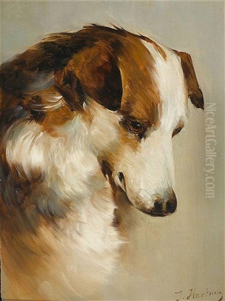 Border Collie Oil Painting by Carl Reichert