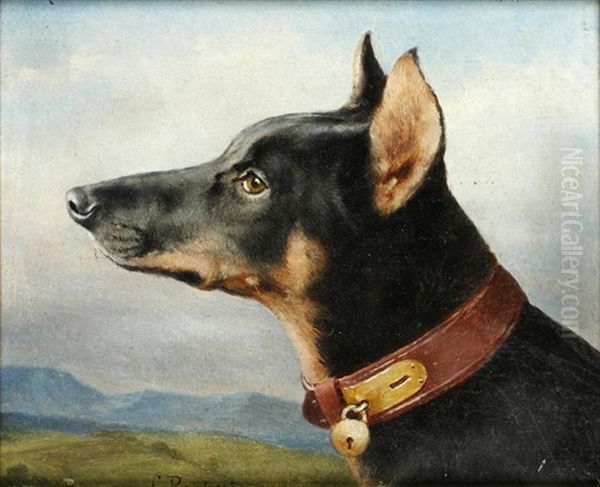 Head Study Of A Doberman Oil Painting by Carl Reichert