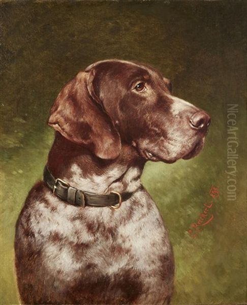 Head Of A German Shorthaired Pointer Oil Painting by Carl Reichert