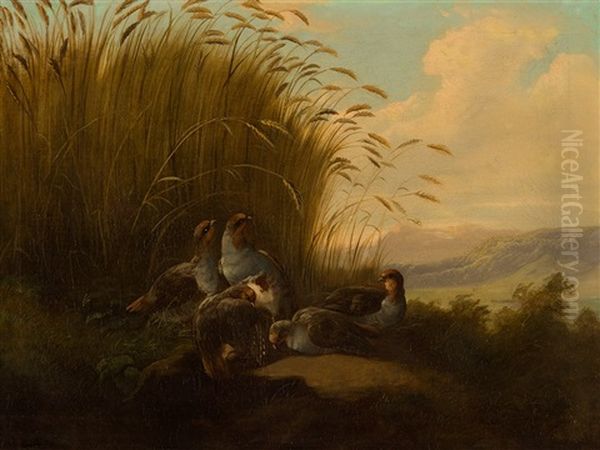 Partridge Oil Painting by Carl Reichert