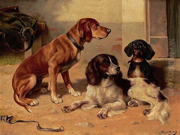 Drei Hunde Im Hof Oil Painting by Carl Reichert