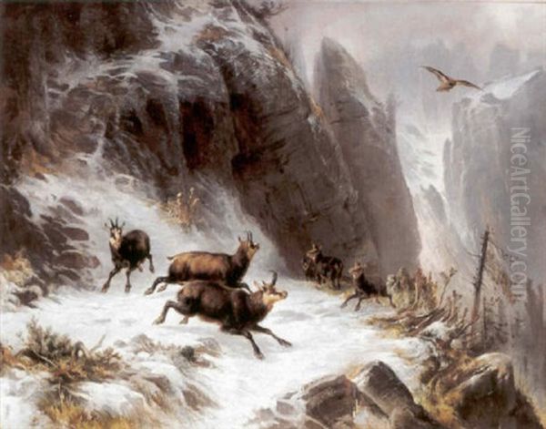 Gemsen Im Hochgebirge Oil Painting by Carl Reichert